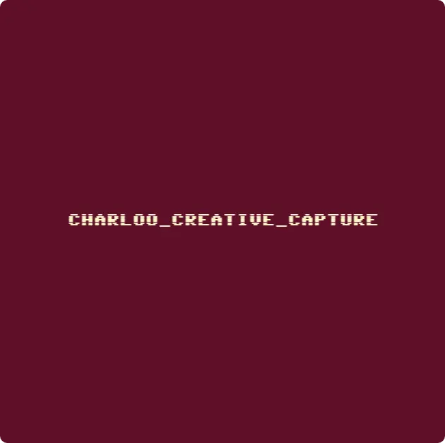 Website Logo